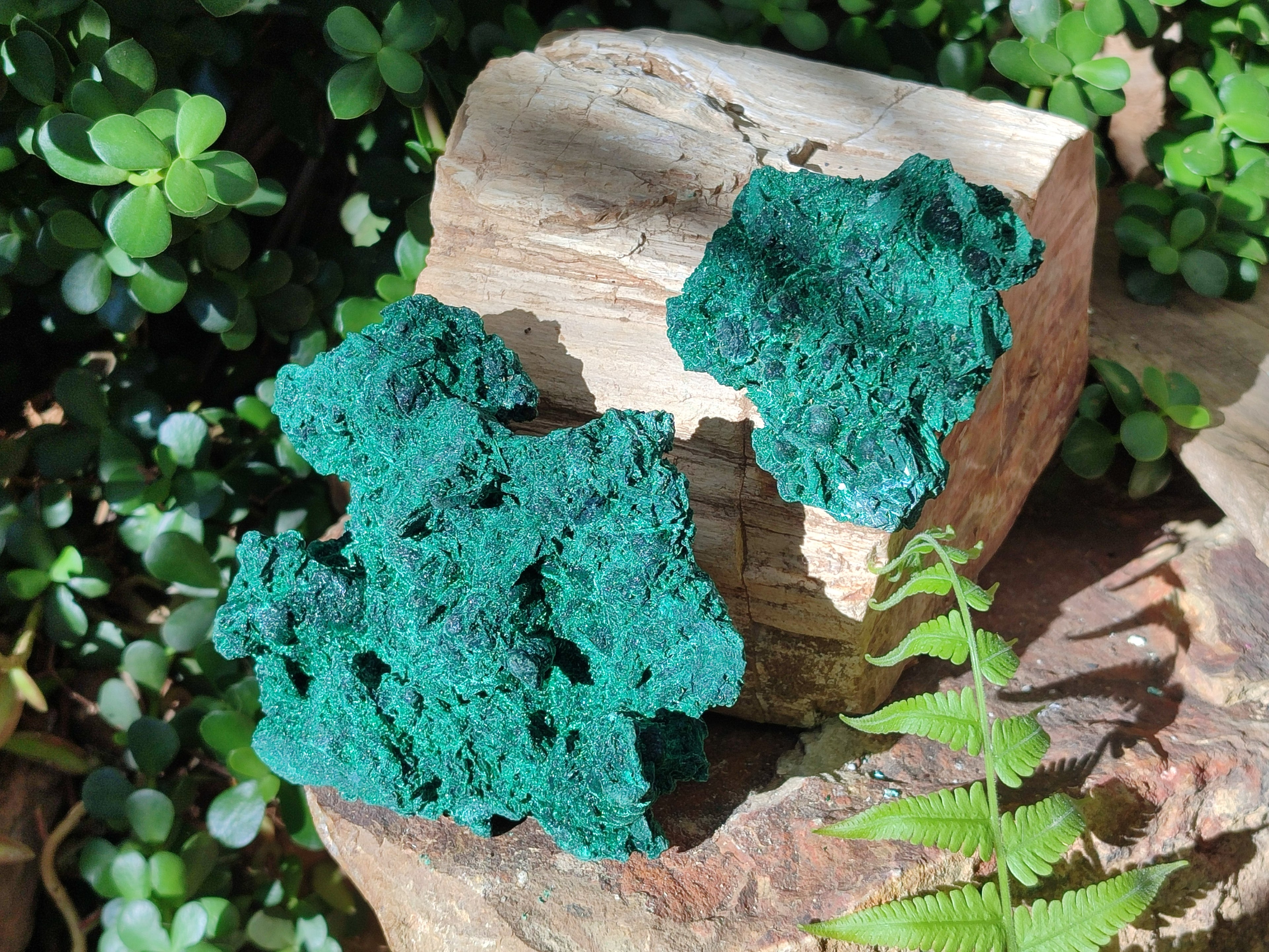Natural Silky Malachite Specimens x 2 From Kasompe, Congo