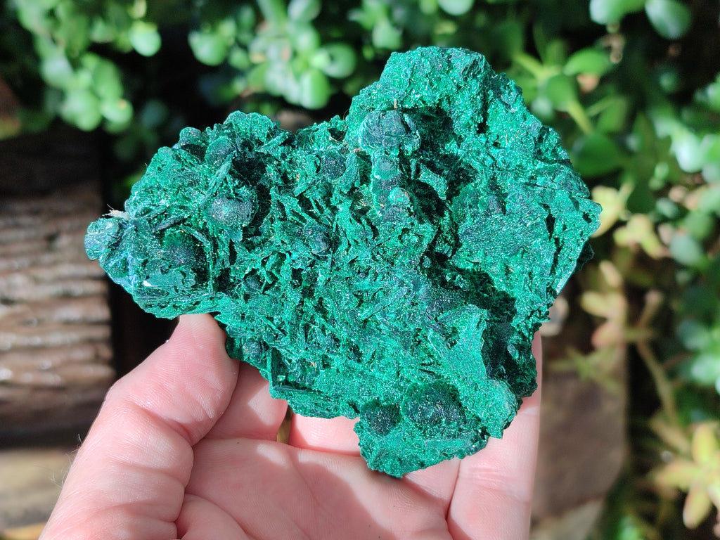 Natural Silky Malachite Specimens x 2 From Kasompe, Congo