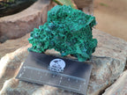 Natural Silky Malachite Specimens x 2 From Kasompe, Congo