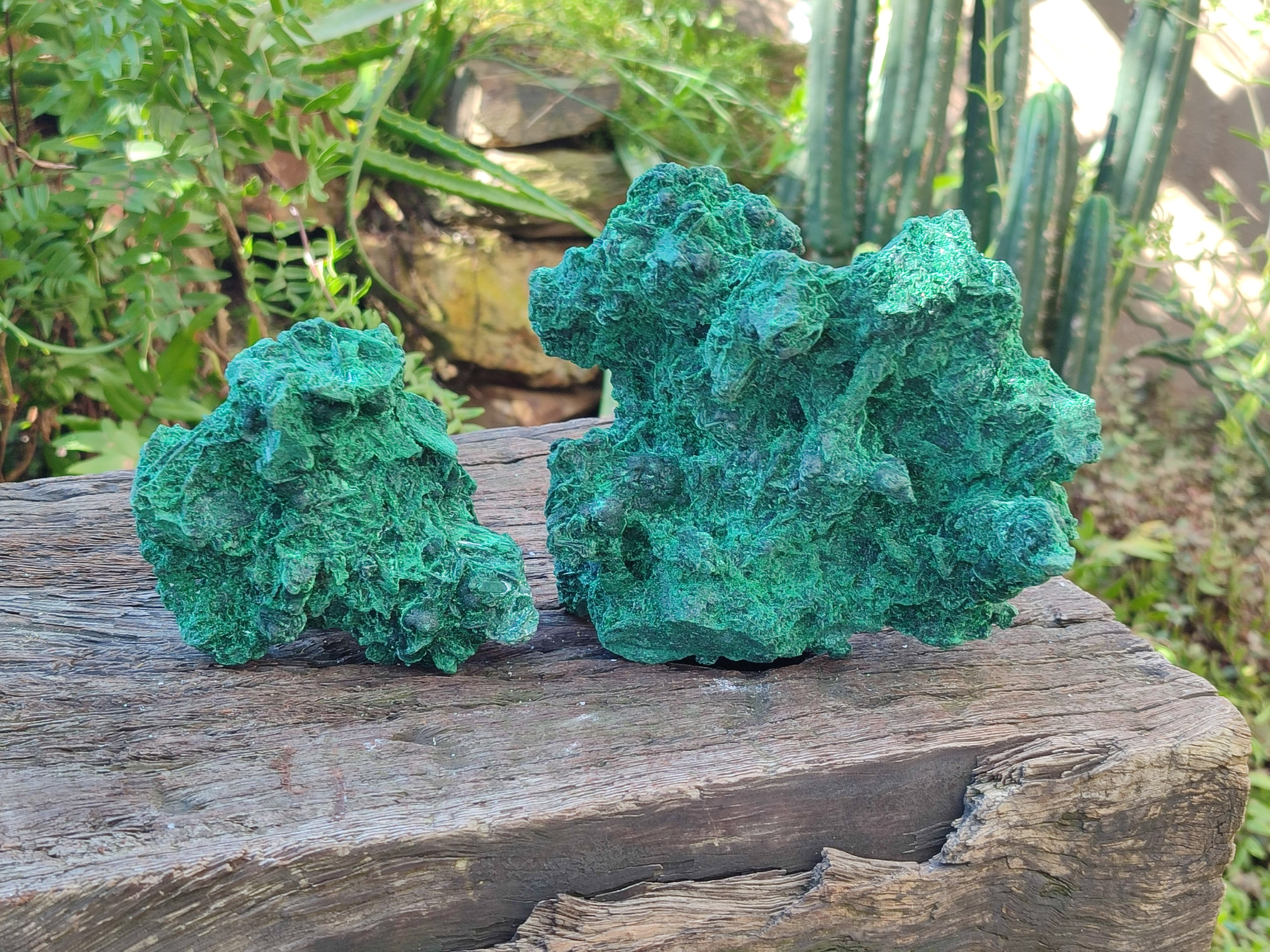 Natural Silky Malachite Specimens x 2 From Kasompe, Congo