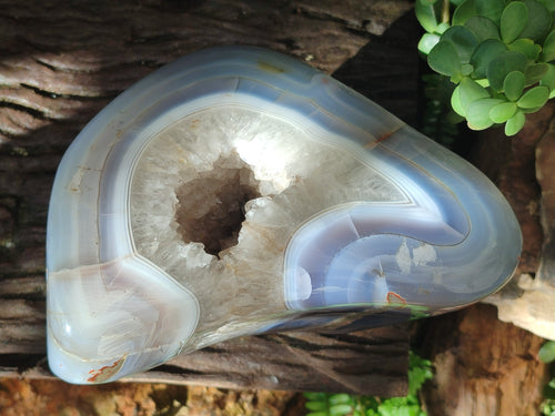Polished XL Red Shashe River Agate Geode x 1 From Shashe River, Zimbabwe