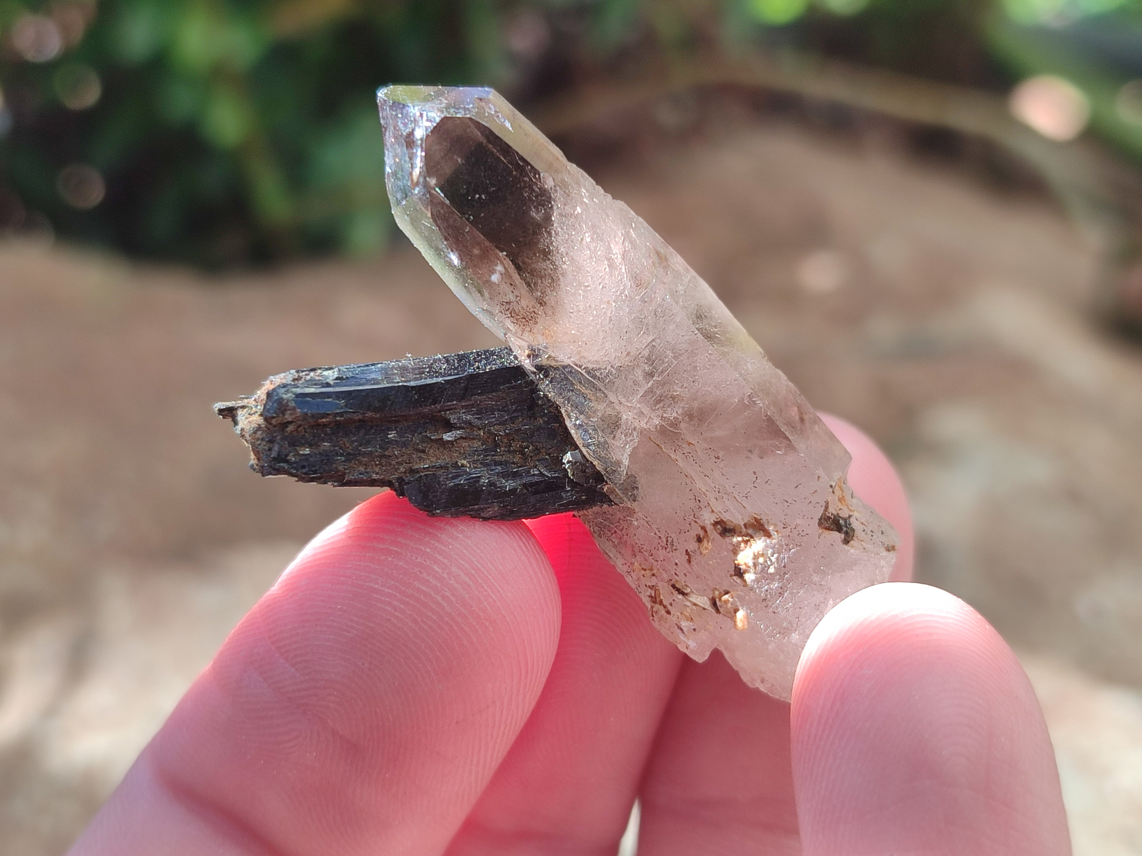 Natural Zomba Smokey Quartz Crystals x 70 From Zomba Plateau, Malawi