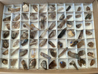 Natural Zomba Smokey Quartz Crystals x 70 From Zomba Plateau, Malawi