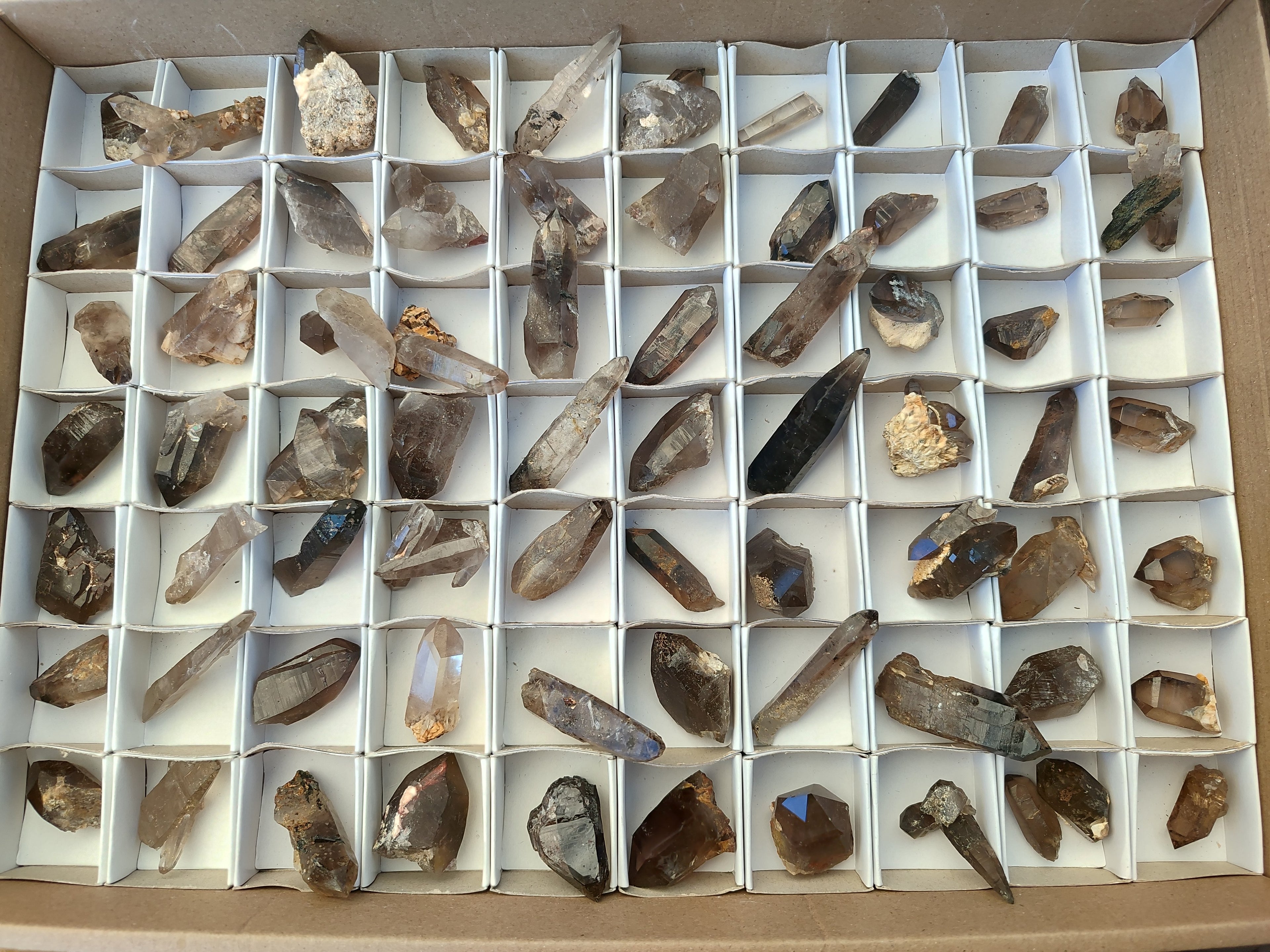 Natural Zomba Smokey Quartz Crystals x 70 From Zomba Plateau, Malawi