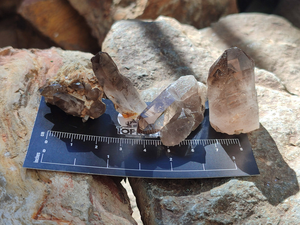 Natural Zomba Smokey Quartz Crystals x 70 From Zomba Plateau, Malawi