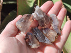Natural Zomba Smokey Quartz Crystals x 70 From Zomba Plateau, Malawi