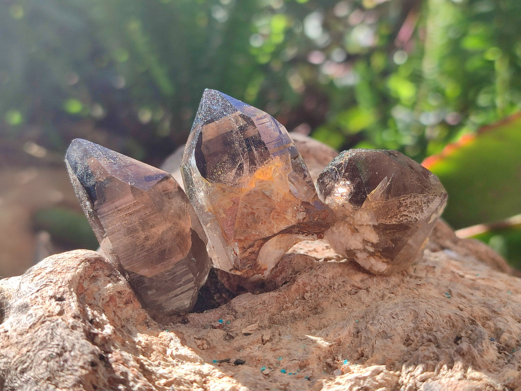 Natural Zomba Smokey Quartz Crystals x 70 From Zomba Plateau, Malawi