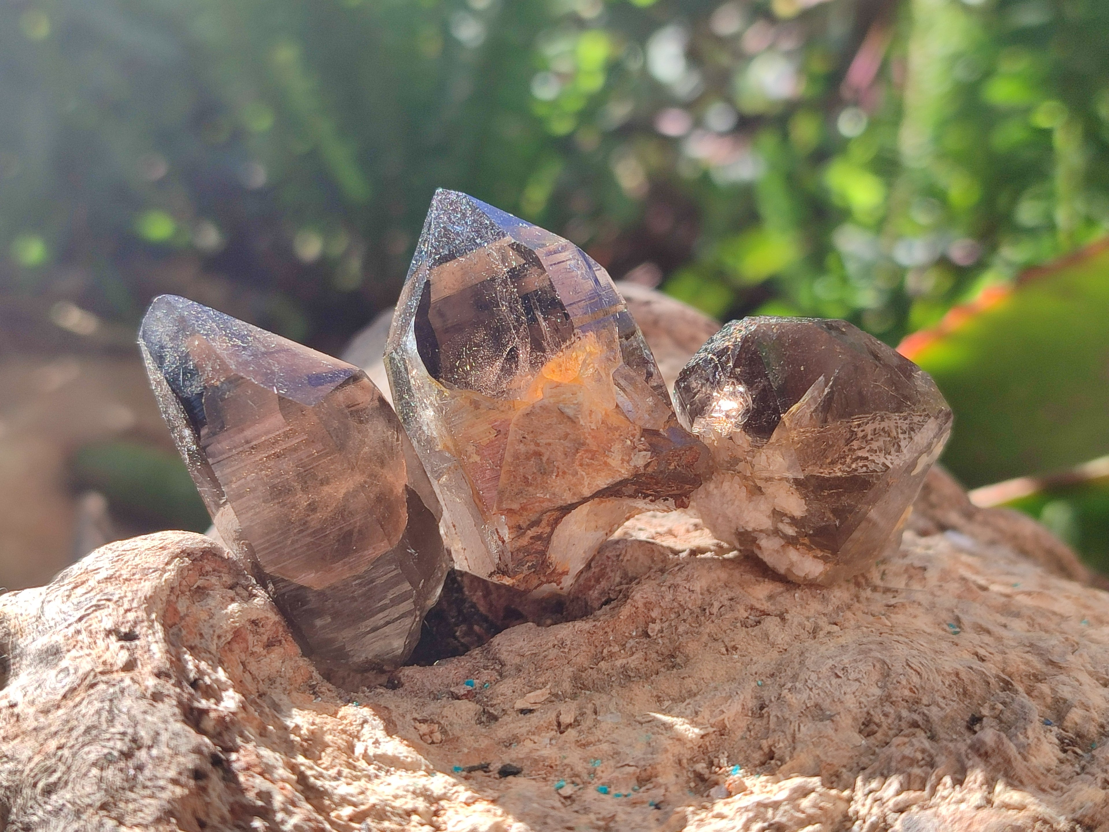 Natural Zomba Smokey Quartz Crystals x 70 From Zomba Plateau, Malawi