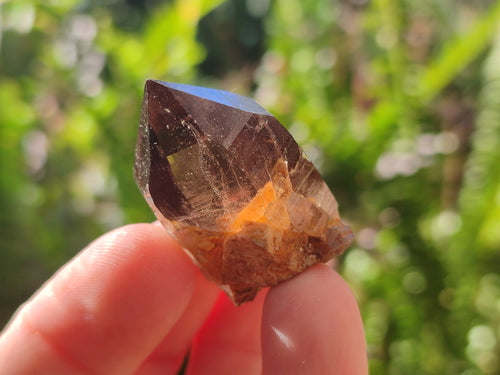 Natural Zomba Smokey Quartz Crystals x 70 From Zomba Plateau, Malawi