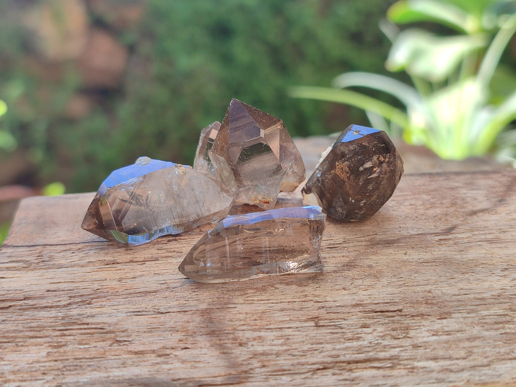 Natural Zomba Smokey Quartz Crystals x 70 From Zomba Plateau, Malawi