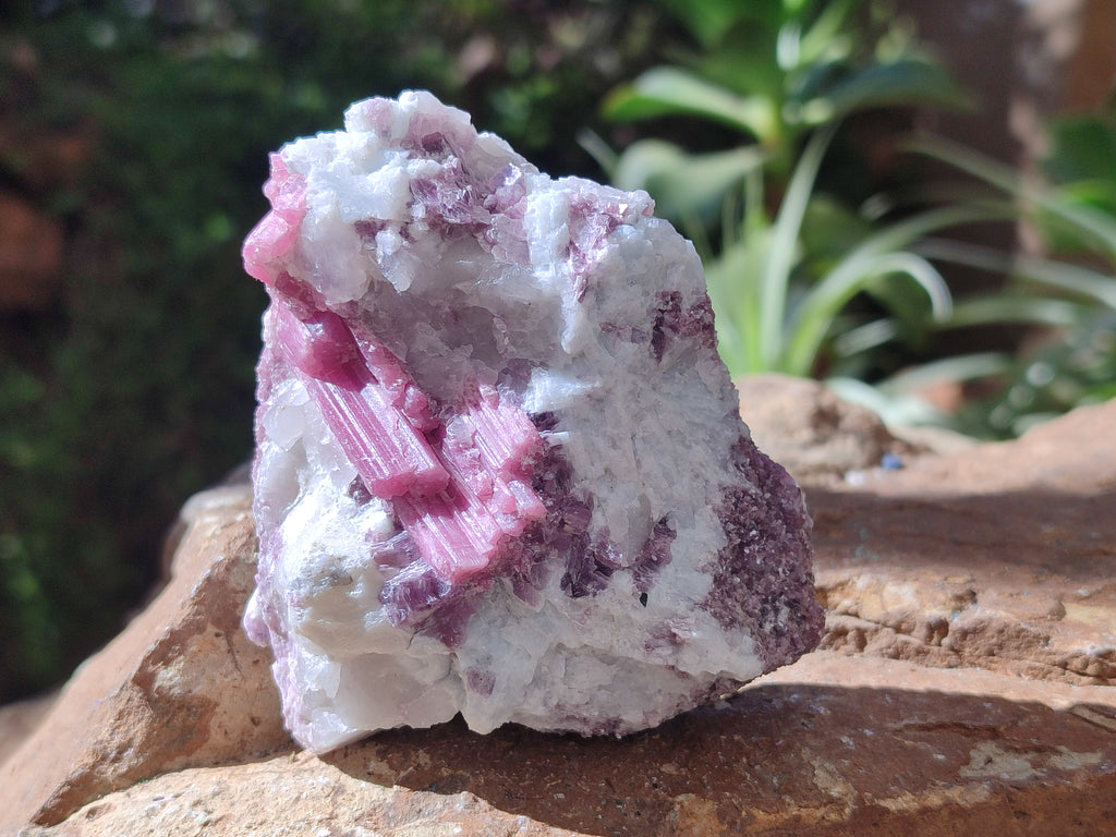 Natural Pink Rubellite Tourmaline Specimen x 12 From Karibib, Namibia