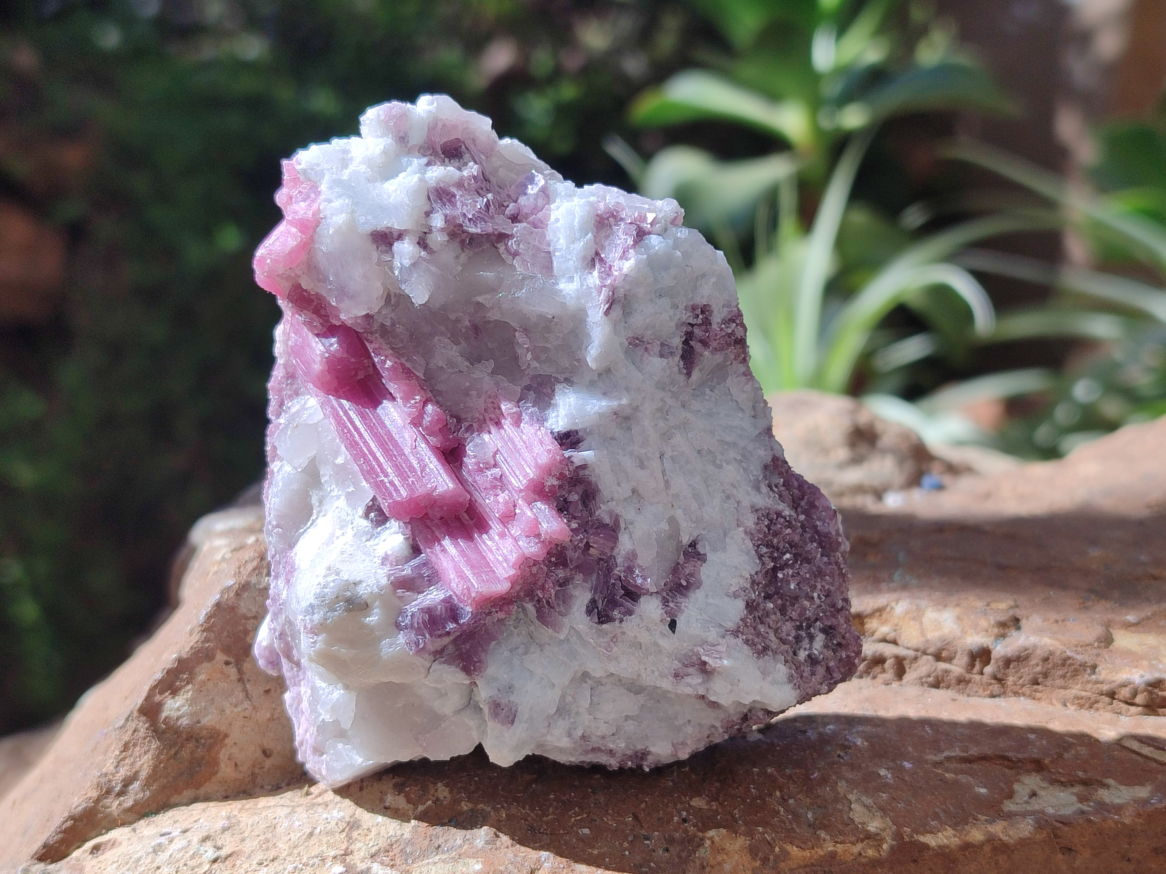 Natural Pink Rubellite Tourmaline Specimen x 12 From Karibib, Namibia