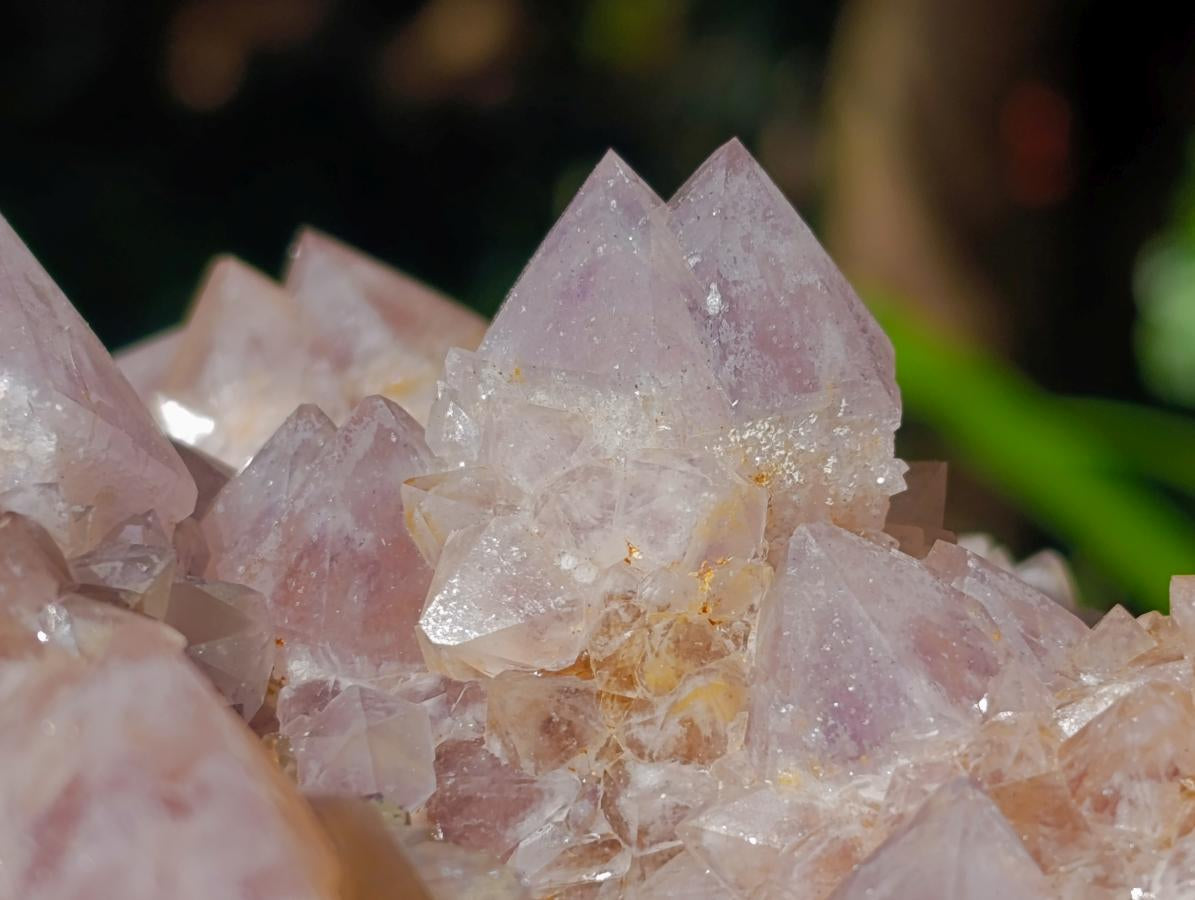 Natural Spirit Amethyst Clusters x 2 From Boekenhouthoek, South Africa