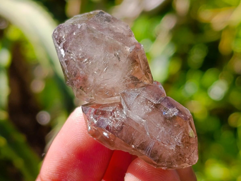 Natural Neuschwaben Farm Smokey Quartz Crystals x 19 From Goboboseb Mountains, Namibia