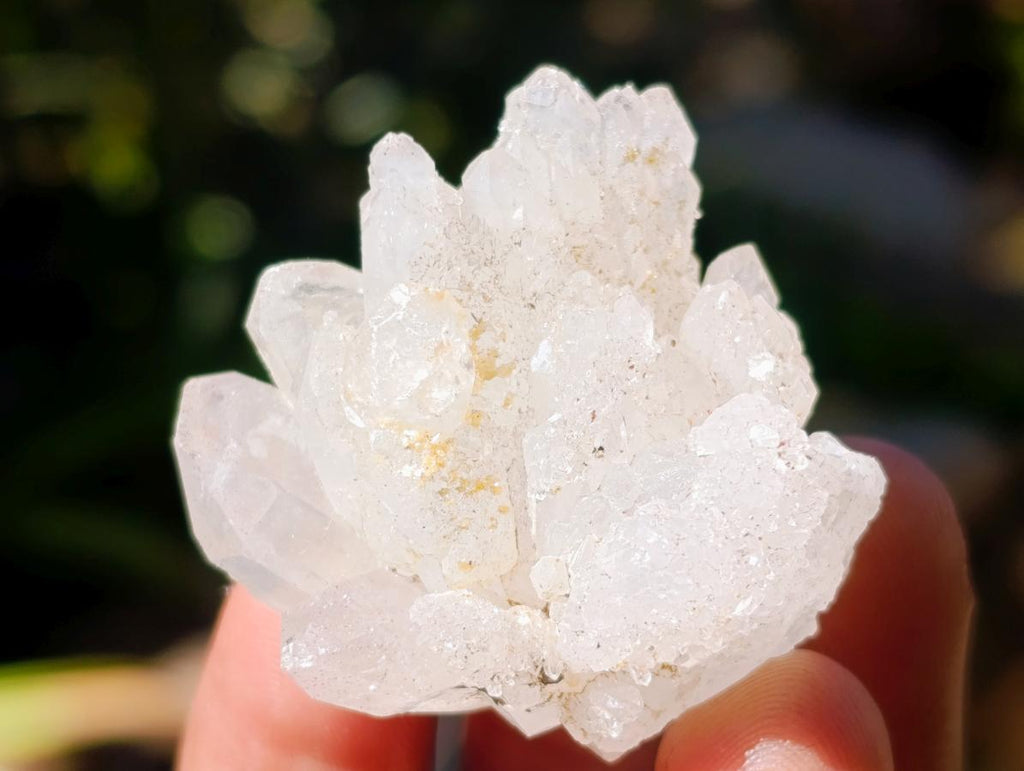 Natural Neuschwaben Farm Smokey Quartz Crystals x 19 From Goboboseb Mountains, Namibia