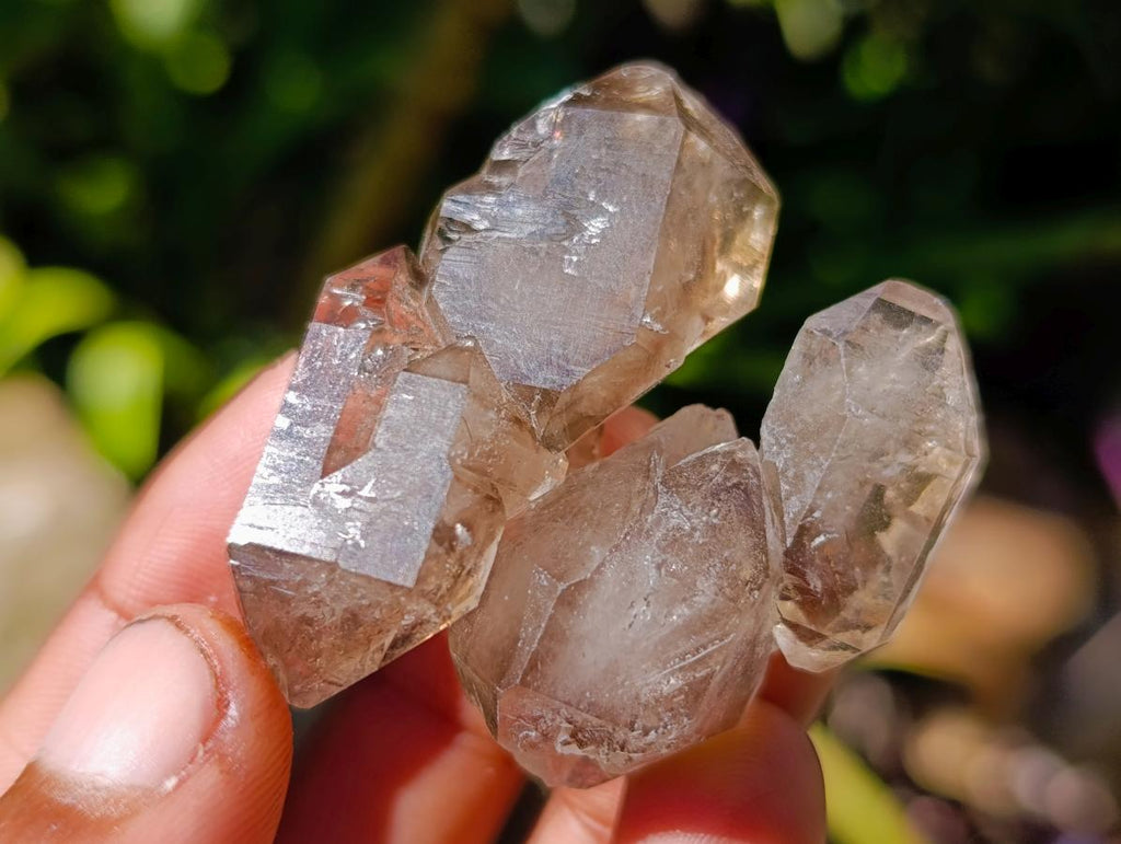Natural Neuschwaben Farm Smokey Quartz Crystals x 19 From Goboboseb Mountains, Namibia