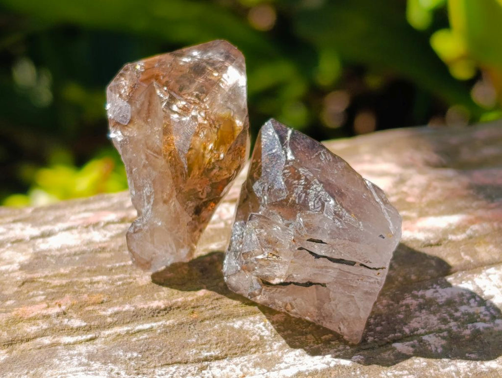 Natural Neuschwaben Farm Smokey Quartz Crystals x 19 From Goboboseb Mountains, Namibia