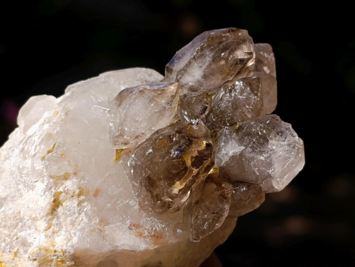 Natural Neuschwaben Farm Smokey Quartz Crystals x 19 From Goboboseb Mountains, Namibia