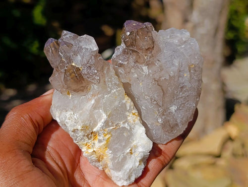 Natural Neuschwaben Farm Smokey Quartz Crystals x 19 From Goboboseb Mountains, Namibia
