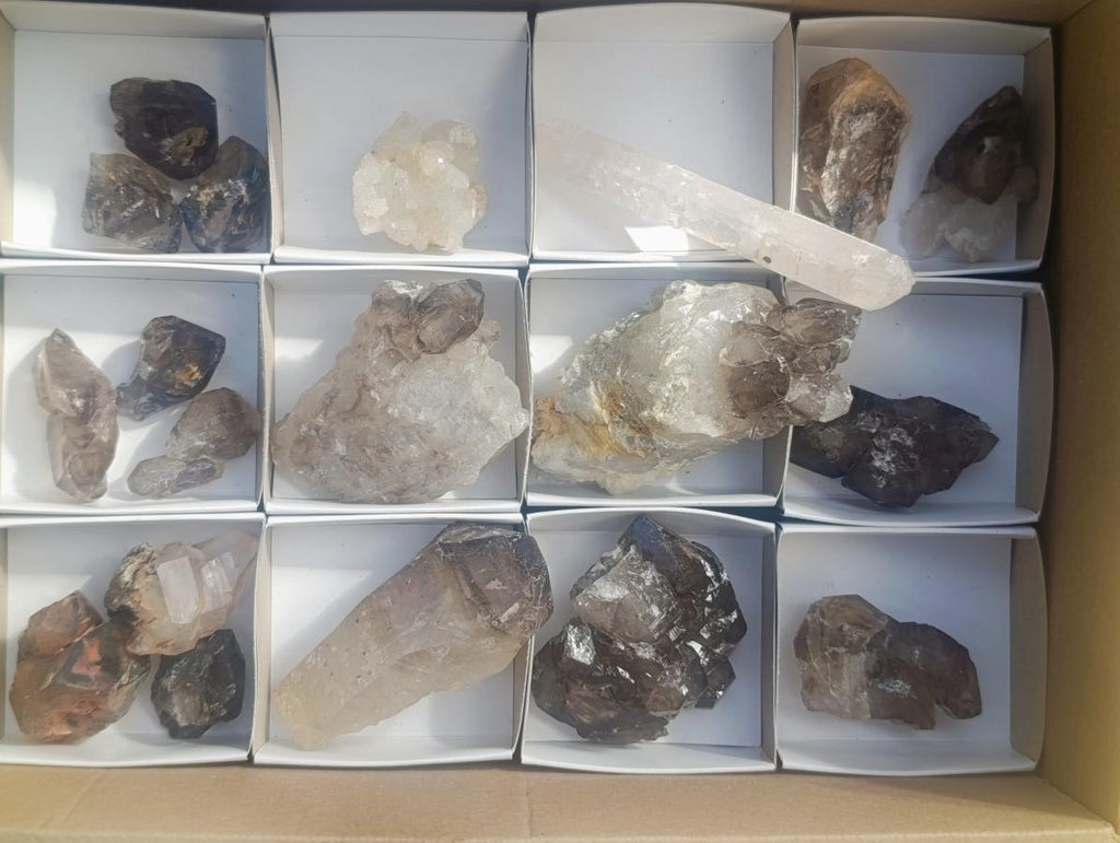 Natural Neuschwaben Farm Smokey Quartz Crystals x 19 From Goboboseb Mountains, Namibia