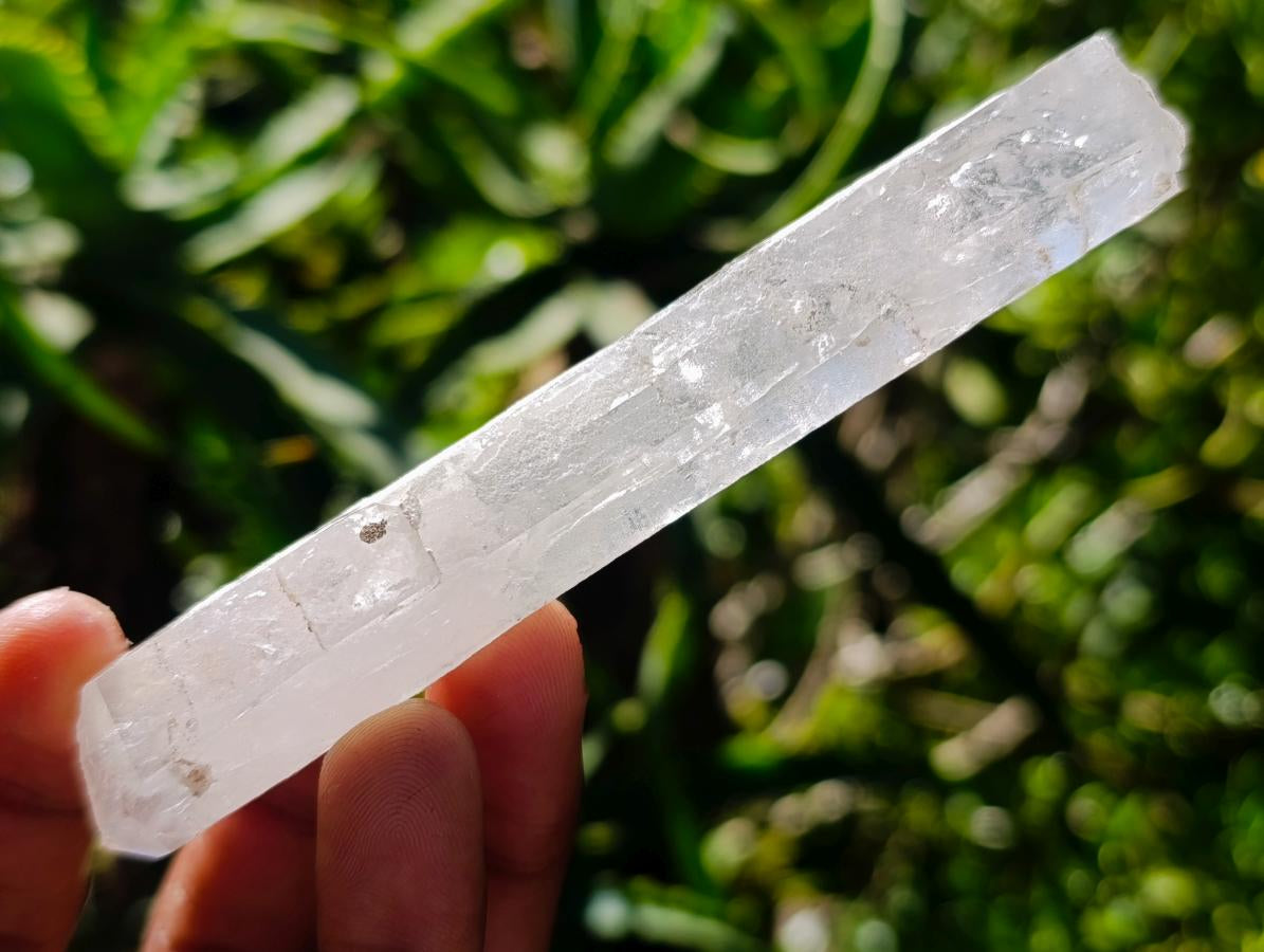 Natural Neuschwaben Farm Smokey Quartz Crystals x 19 From Goboboseb Mountains, Namibia