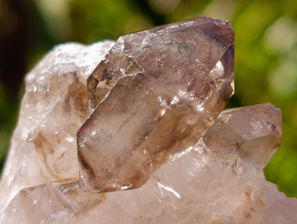 Natural Neuschwaben Farm Smokey Quartz Crystals x 19 From Goboboseb Mountains, Namibia