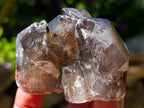Natural Neuschwaben Farm Smokey Quartz Crystals x 19 From Goboboseb Mountains, Namibia