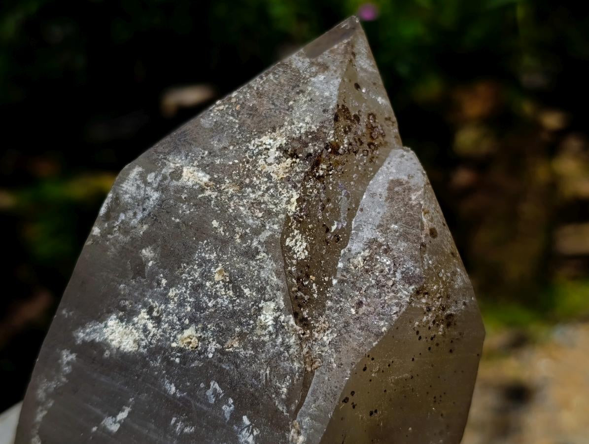 Natural Large Smokey Quartz Twin Crystal with Associated Minerals x 1 From Erongo, Namibia