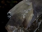Natural Large Smokey Quartz Twin Crystal with Associated Minerals x 1 From Erongo, Namibia