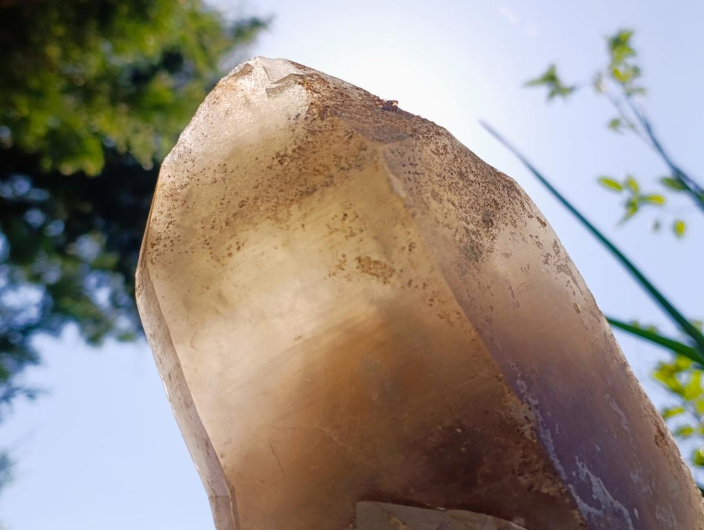 Natural Large Smokey Quartz Twin Crystal with Associated Minerals x 1 From Erongo, Namibia