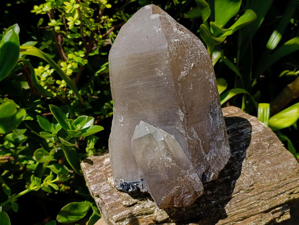 Natural Large Smokey Quartz Twin Crystal with Associated Minerals x 1 From Erongo, Namibia