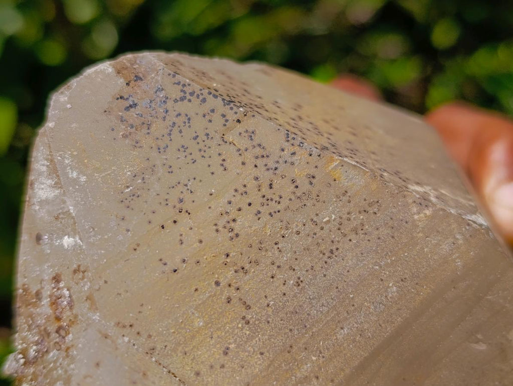 Natural Large Smokey Quartz Twin Crystal with Associated Minerals x 1 From Erongo, Namibia