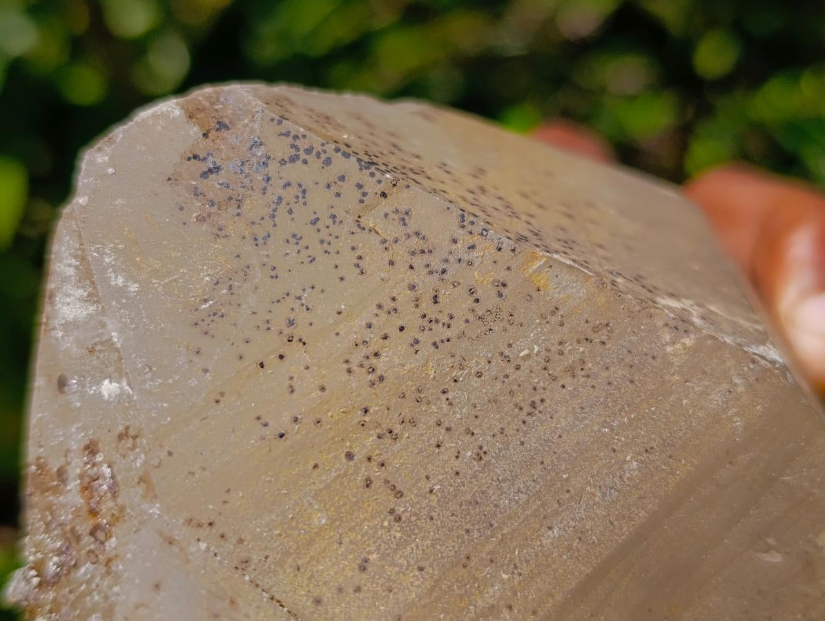 Natural Large Smokey Quartz Twin Crystal with Associated Minerals x 1 From Erongo, Namibia