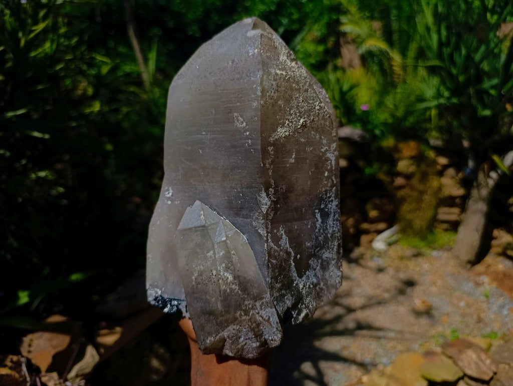 Natural Large Smokey Quartz Twin Crystal with Associated Minerals x 1 From Erongo, Namibia
