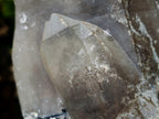 Natural Large Smokey Quartz Twin Crystal with Associated Minerals x 1 From Erongo, Namibia