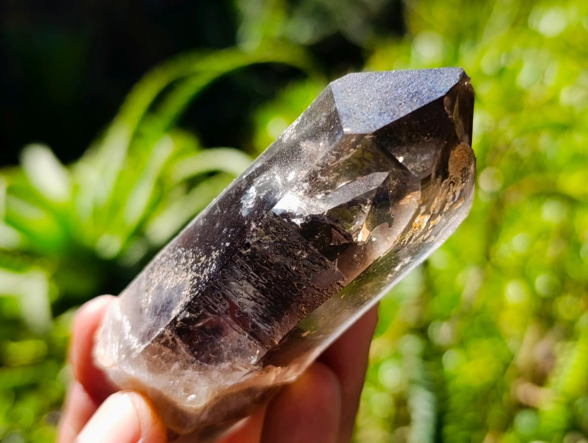Natural Smokey Quartz Crystals x 12 From Mulanje, Malawi