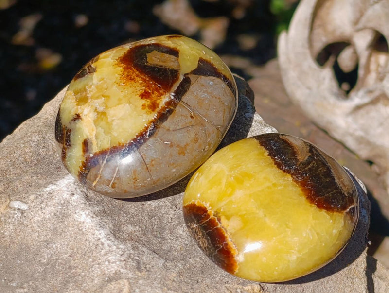 Polished Septerye Galets x 12 From Mahajanga, Madagascar - Toprock Gemstones and Minerals 