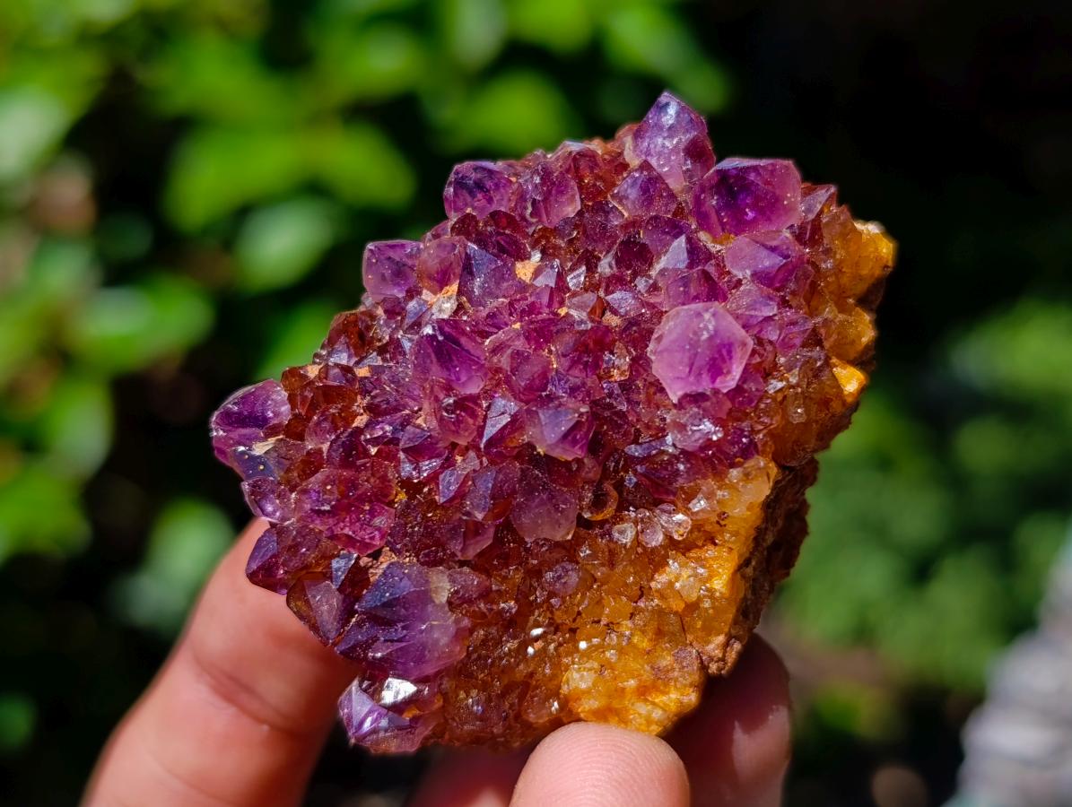 Natural Dark Purple Amethyst Quartz Crystal Plates x 35 From Boekenhouthoek, South Africa