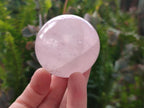 Polished Gemmy Star Rose Quartz Spheres x 6 From Madagascar - Toprock Gemstones and Minerals 