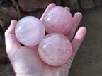 Polished Gemmy Star Rose Quartz Spheres x 6 From Madagascar - Toprock Gemstones and Minerals 