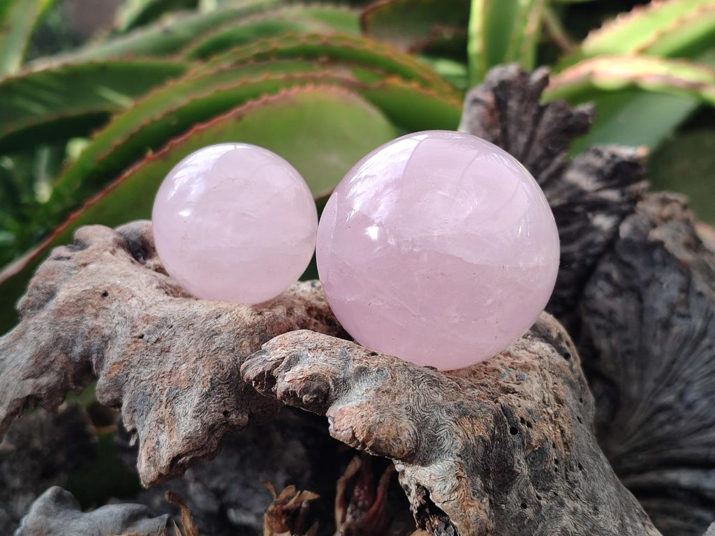 Polished Gemmy Star Rose Quartz Spheres x 6 From Madagascar - Toprock Gemstones and Minerals 