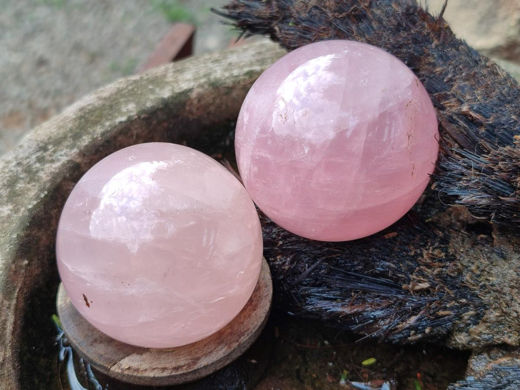 Polished Gemmy Star Rose Quartz Spheres x 6 From Madagascar - Toprock Gemstones and Minerals 