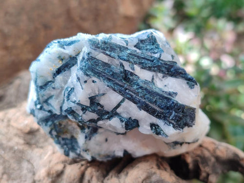 Natural Rare Indicolite Tourmaline in Quartz Specimens x 6 From Karibib, Namibia