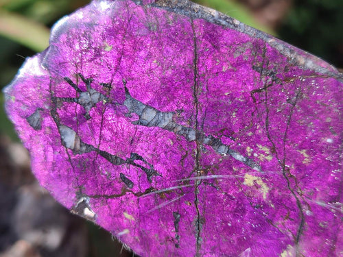 Polished One Side Metallic Purpurite Specimens x 6 From Erongo Namibia