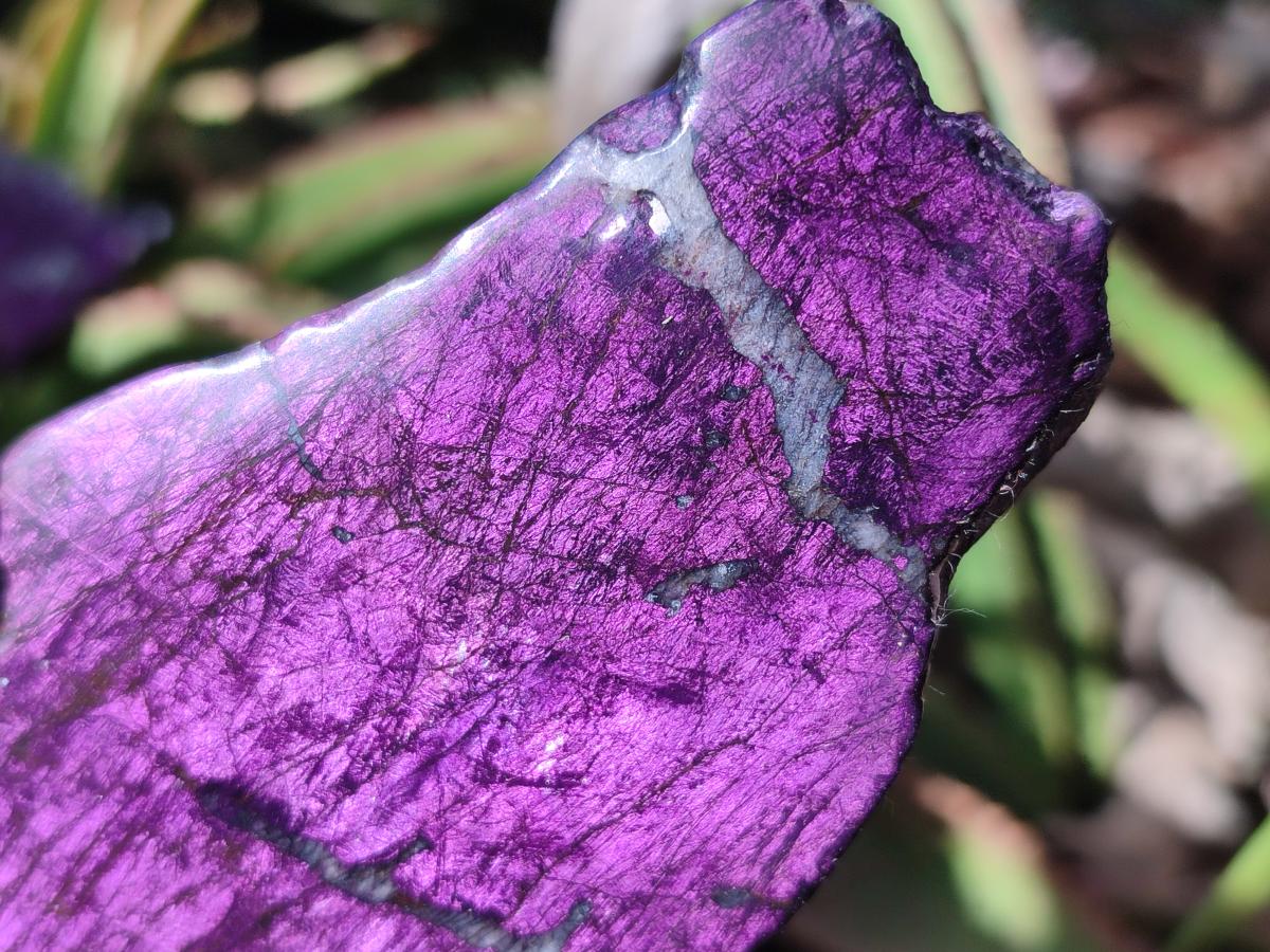 Polished One Side Metallic Purpurite Specimens x 6 From Erongo Namibia