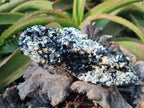 Natural Schorl Black Tourmaline with Feldspar Specimens x 2 From Erongo, Namibia - Toprock Gemstones and Minerals 