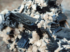 Natural Schorl Black Tourmaline with Feldspar Specimens x 2 From Erongo, Namibia - Toprock Gemstones and Minerals 