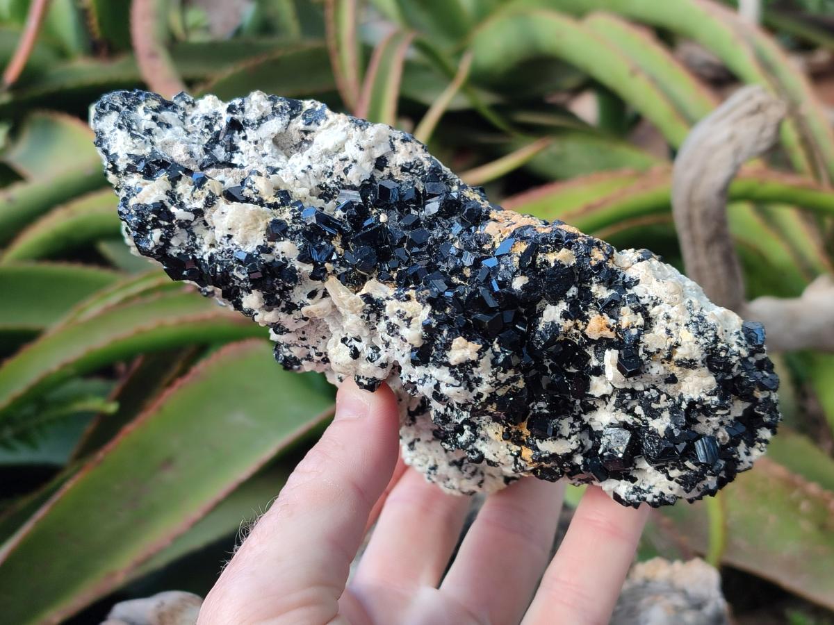 Natural Schorl Black Tourmaline with Feldspar Specimens x 2 From Erongo, Namibia - Toprock Gemstones and Minerals 
