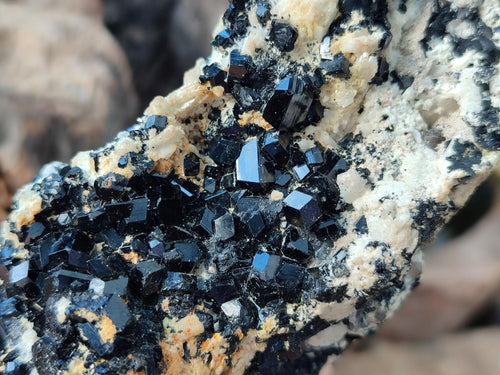 Natural Schorl Black Tourmaline with Feldspar Specimens x 2 From Erongo, Namibia