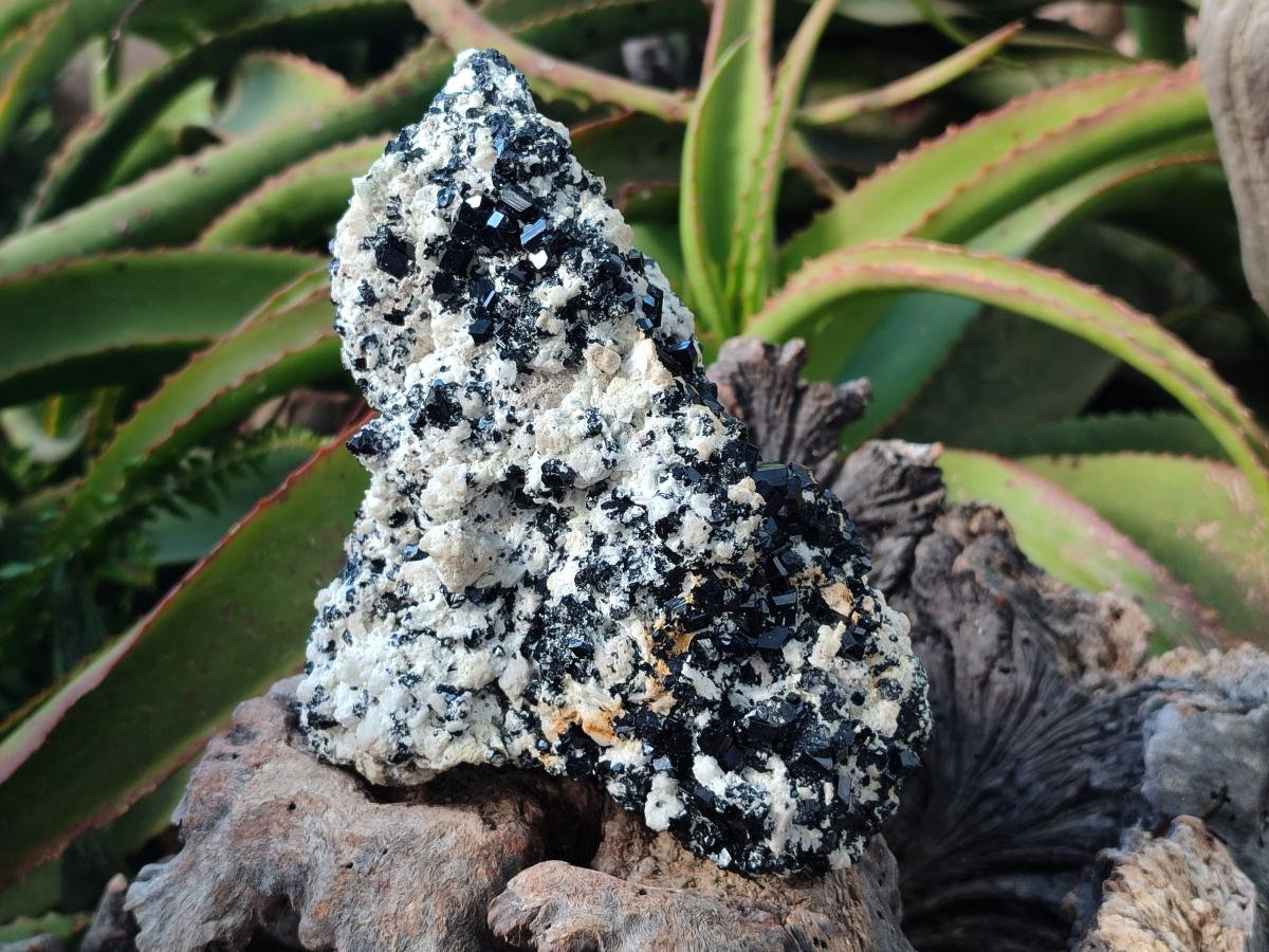 Natural Schorl Black Tourmaline with Feldspar Specimens x 2 From Erongo, Namibia - Toprock Gemstones and Minerals 
